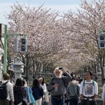 KBRI Tokyo imbau WNI tetap jaga diri di masa endemi Jepang-1683181689