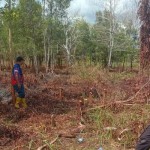 Ketua DPRD Palangka Raya minta masyarakat waspadai ancaman karhutla-1685095484