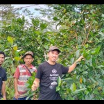 kopi-1684306840