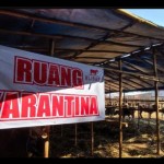 kurban-1685519498