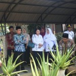 Lidah Buaya-1685000555