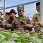 Mentan: Penas Tani upaya konsolidasi jaga ketahanan pangan nasional-1685427494