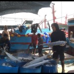 pelabuhan-1684998223