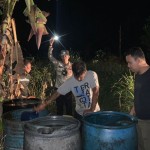 Pelaku-1685096190