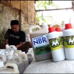 Pemkab Tanah Datar maksimalkan penggunaan pupuk organik-1684227242