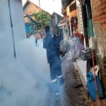 Pemkot Pekalongan minta warga waspada penyebaran demam berdarah-1684322176
