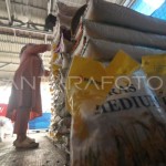 Pemprov Bengkulu gandeng daerah lain cegah dampak kemarau pada pangan-1685527770