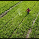petani-1683115811