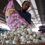 Bawang Putih-1686033655