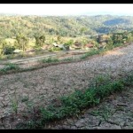 BNPB imbau waspada kekeringan di Jawa hingga Nusa Tenggara-1686627004