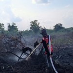 BPBD Palangka Raya catat 21 hektare lahan gambut terbakar dari Januari-1686293920