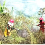 BPBD Tanah Laut deteksi 33 titik karhutla landa empat kecamatan-1687506348