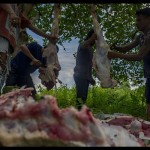 Daging-1687949118