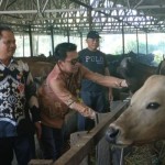 DKP3-1687759474