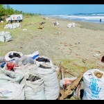 DLHK: Belum ada perusahaan tambang akui tumpahkan batu bara ke laut-1686208947