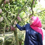 Gubernur Jatim minta daerah kembangkan potensi ekonomi desa-1687769072