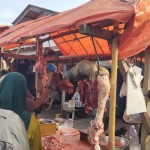 Ilustrasi- Pedagang daging yang ada di salah satu pasar tradisional di Lampung. ANTARA/Ruth Intan Sozometa Kanafi.-1687937137