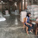 Ilustrasi: terlihat stok beras di salah satu penggilingan padi di Kota Mataram, Provinsi Nusa Tenggara Barat. (ANTARA/HO-dokumen pribadi)-1687344194
