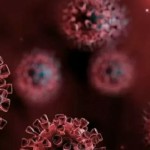 Ilustrasi- Virus Corona. (ANTARA/HO)-1686307254
