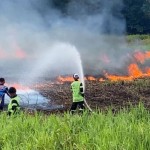 Kebakaran Hutan-1686556636