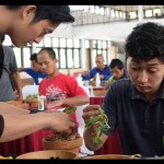 Kemensos tingkatkan taraf hidup KPM melalui budi daya tanaman hias-1687159986