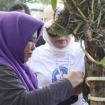 Komunitas harapkan Anggrek Bulan Pelaihari dijaga dari kepunahan-1685950645