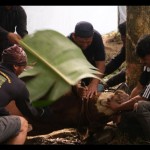 Kurban-1688031228