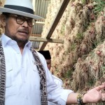 Mentan Syahrul ajukan pemeriksaan dirinya oleh KPK diundur 27 Juni-1686899854