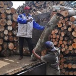 Pabrik kayu lapis di Temanggung kurangi jam kerja karyawan-1686209182