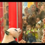 Panda-1688125837