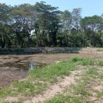 Pemkot Mataram selesai gali pembangunan danau buatan di RTH Pagutan-1687513766