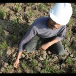petani-1688116463