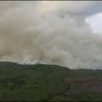 Petugas gabungan padamkan karhutla di empat daerah di Riau. (dok. Antara.)-1687159646