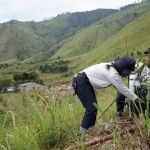 PT Indonesia Asahan Aluminium (Inalum) melakukan penanamam di kawasan Danau Toba (ANTARA/HO)-1686129396