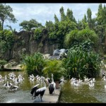 ragunan-1688136055