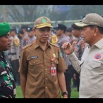 Tapin-1686642526