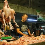 Ayam-1688438041