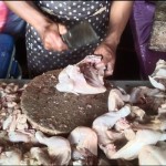 Ayam-1688530583