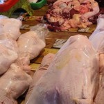 ayam-1688793183
