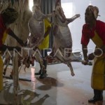 Baznas raih penghargaan untuk penyaluran dam haji-1689667335