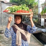 Berdagang keliling solusi pemenuhan kebutuhan sejumlah ibu di Lebak-1689243629