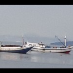 BIAK-1688452817