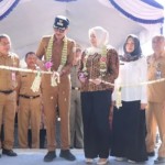 Bupati Banjar dorong pasar hewan jadi pusat perdagangan modern-1689063960