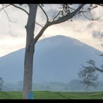 Dempo-1690364873