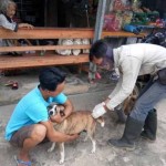 Dinkes Tanggamus tangani 45 kasus gigitan hewan penular rabies-1689934543