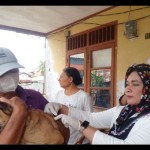 Dokter hewan-1690364697