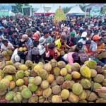 Durian-1688640036