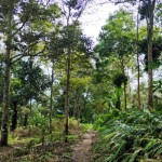 gunung-1689323567