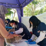 Hewan peliharaan di Situbondo mulai divaksinasi anti-rabies-1689923949
