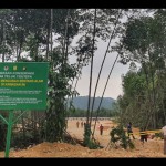 hutan bakau-1689072720